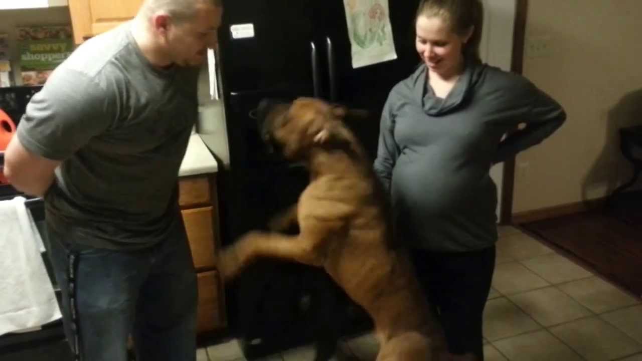 [Video] He Is Protective of His Momma!!